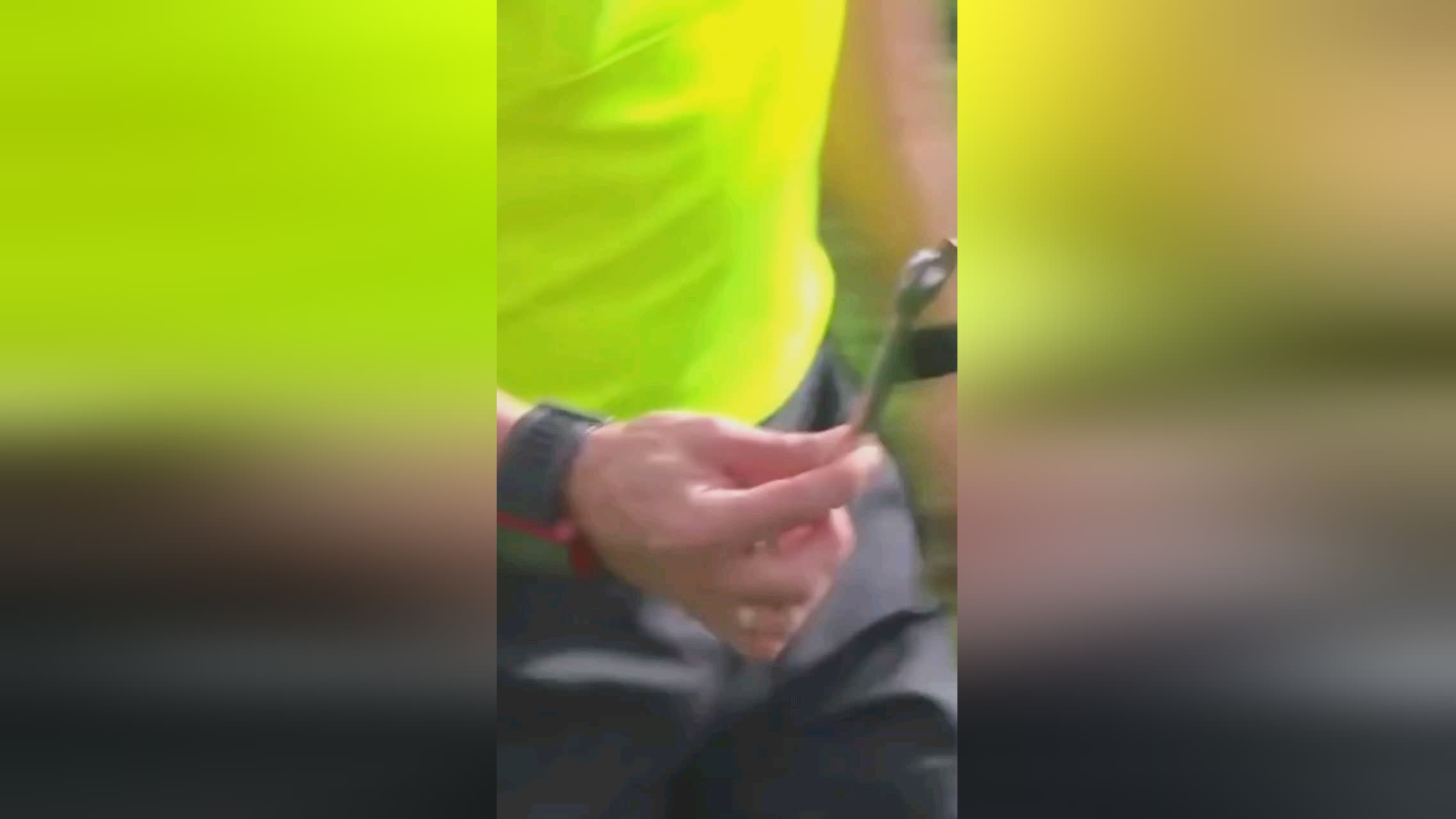 员格局生变